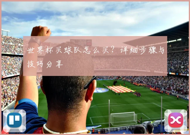 世界杯买球队怎么买？详细步骤与技巧分享