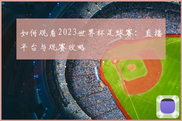 如何观看2023世界杯足球赛：直播平台与观赛攻略