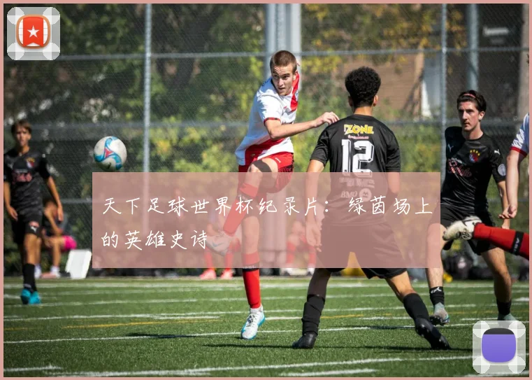 天下足球世界杯纪录片：绿茵场上的英雄史诗