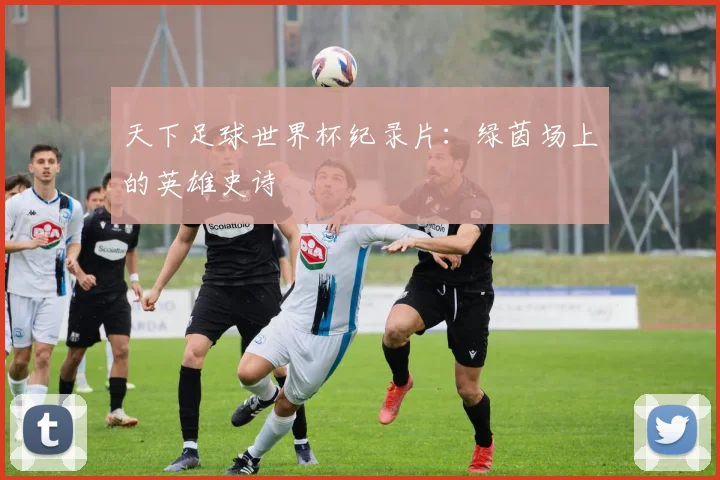 天下足球世界杯纪录片：绿茵场上的英雄史诗