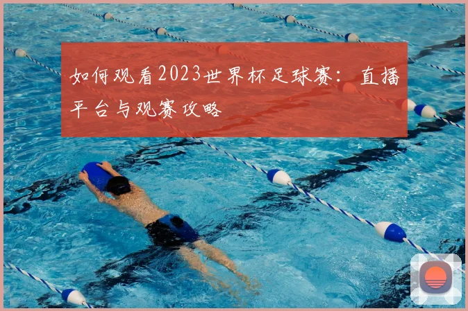 如何观看2023世界杯足球赛：直播平台与观赛攻略
