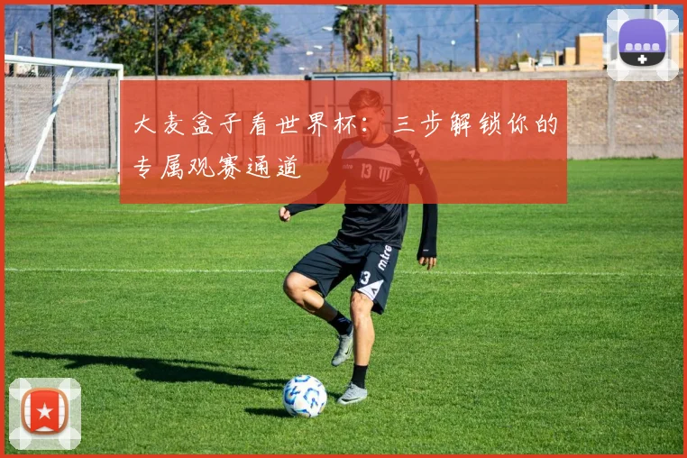 大麦盒子看世界杯：三步解锁你的专属观赛通道