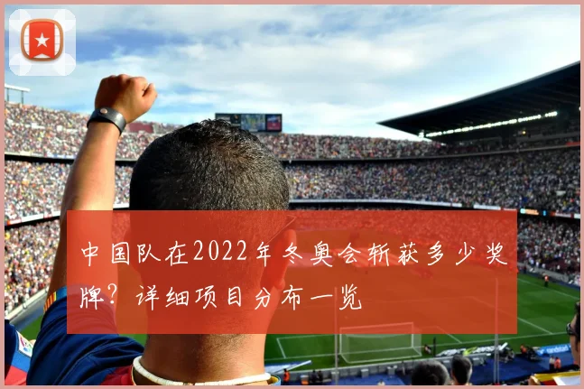 中国队在2022年冬奥会斩获多少奖牌？详细项目分布一览