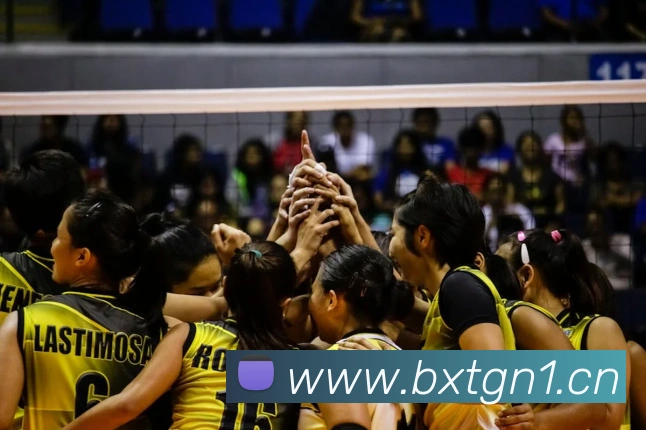 星空体育最新官网发展历程